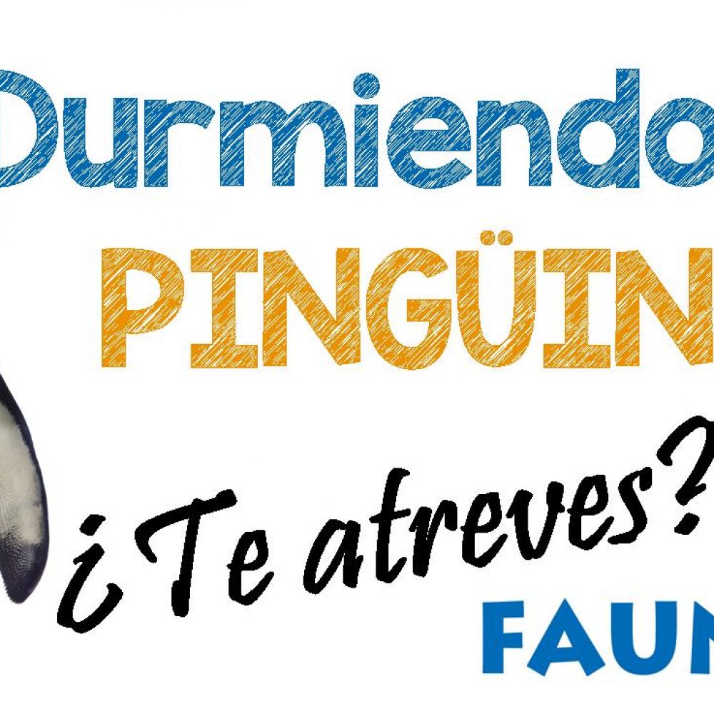 Durmiendo con pingüinos en Faunia