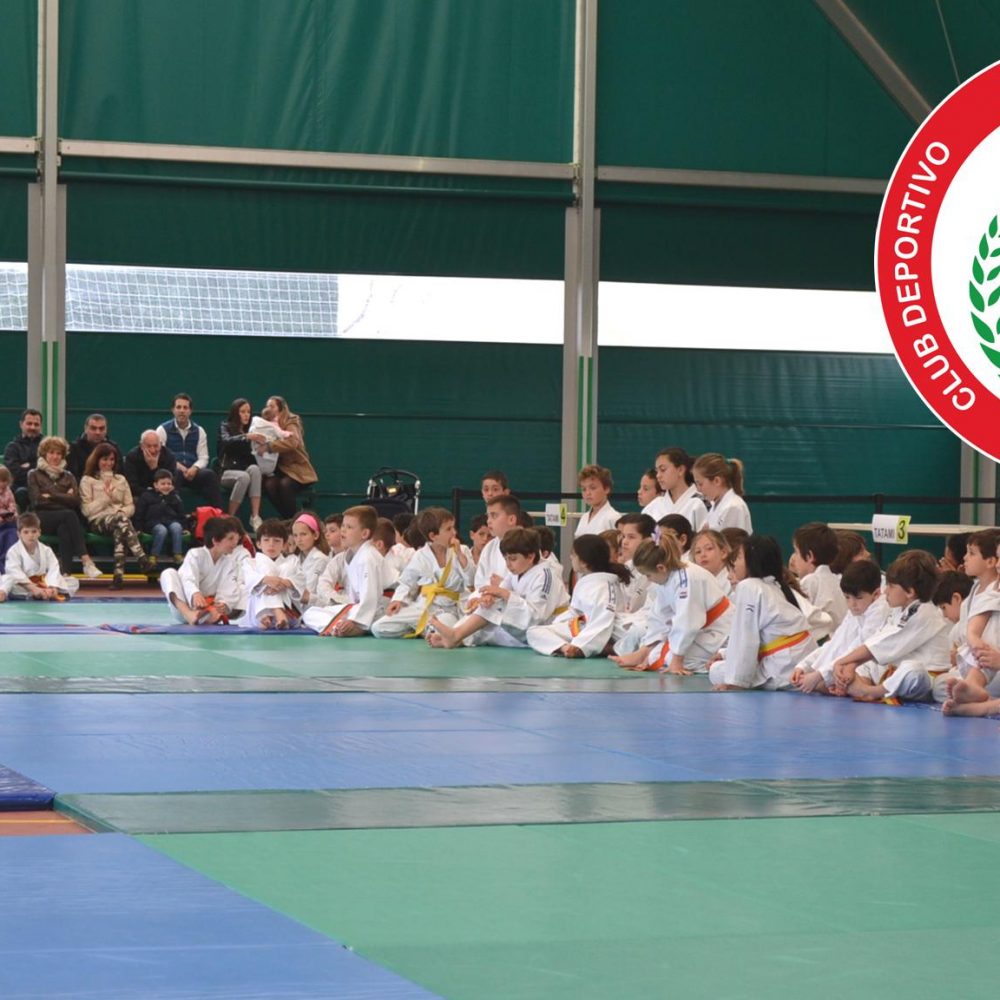 Torneo de JUDO y AJEDREZ C.D.C.BRISTOL