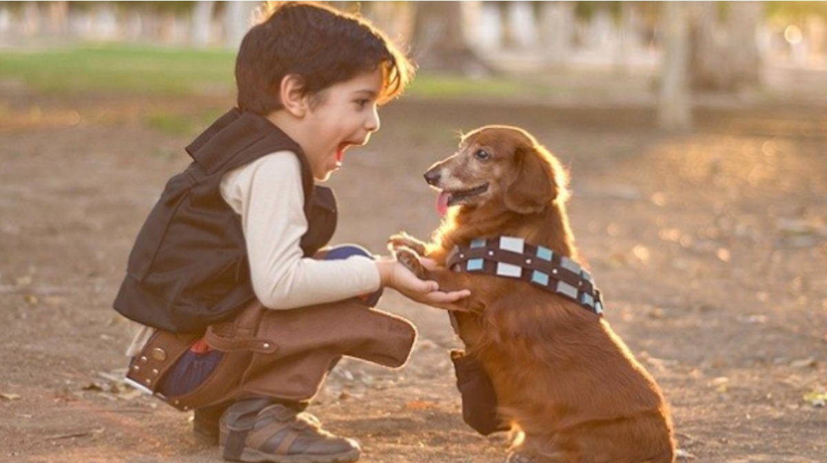 Mascotas con Habilidades Ganadoras