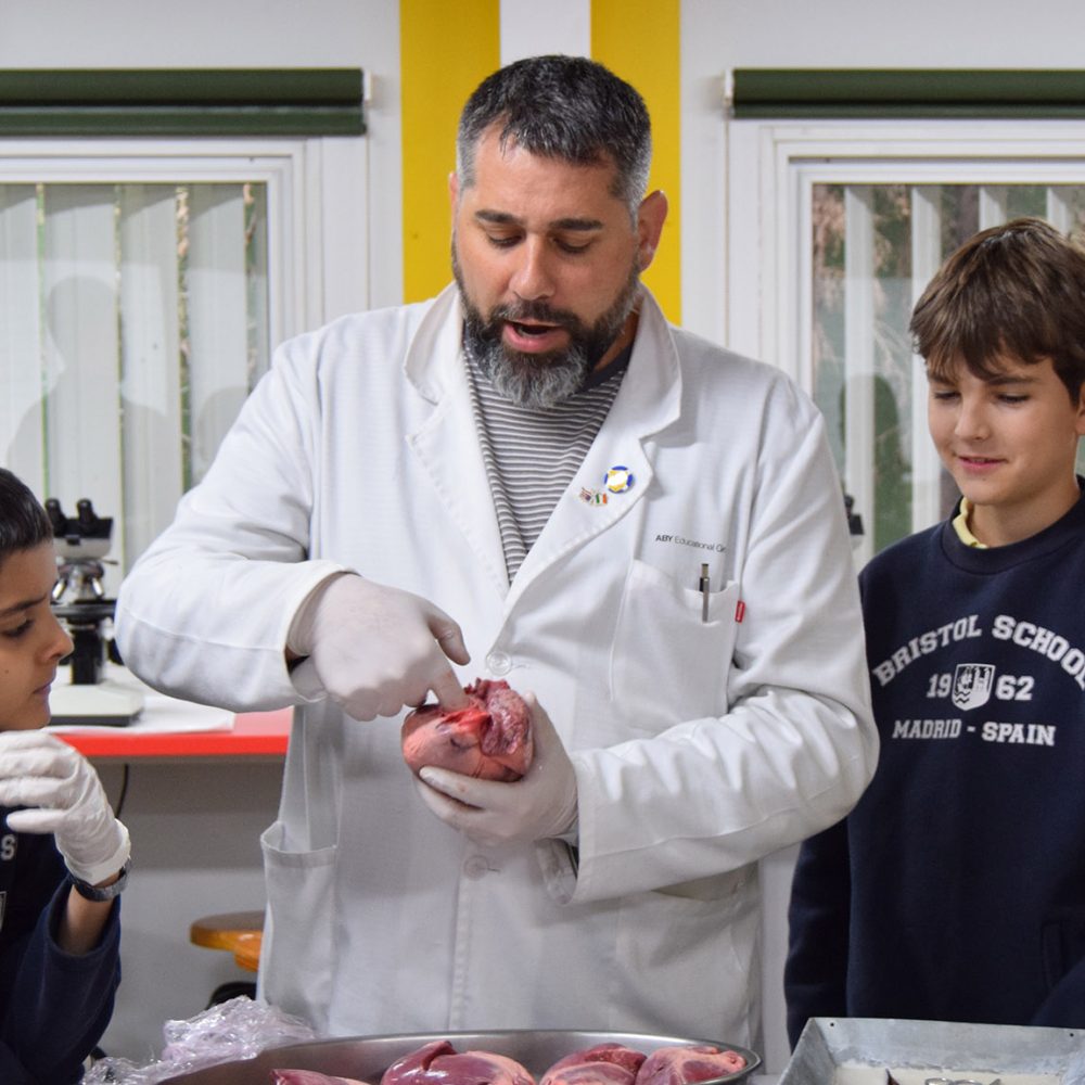 Laboratorio en 6º de Primaria
