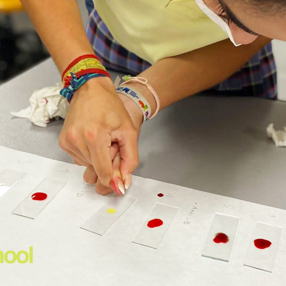 Práctica de Laboratorio 4ºESO