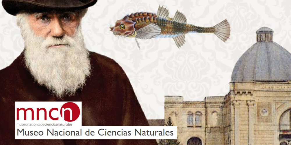 Concurso de dibujo Darwin