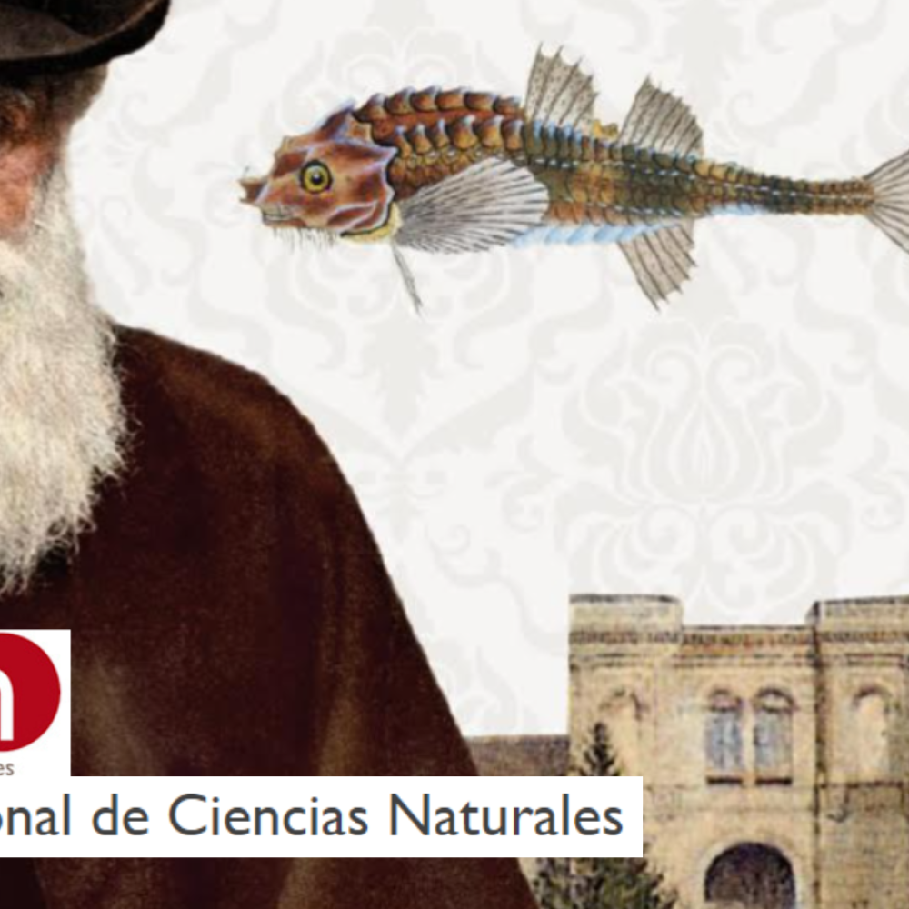 Concurso de dibujo Darwin